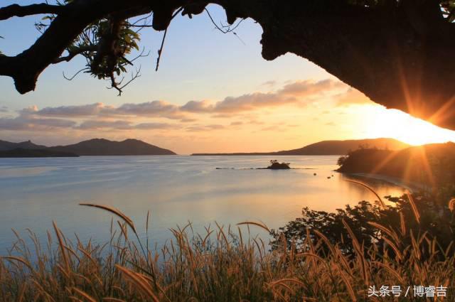 看过便爱上，斐济带来的这酸爽~