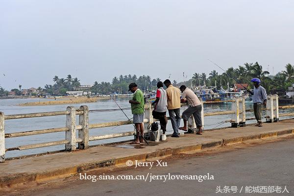 海滩捕鱼的几种方法,海边捕鱼吃海鲜视频大全