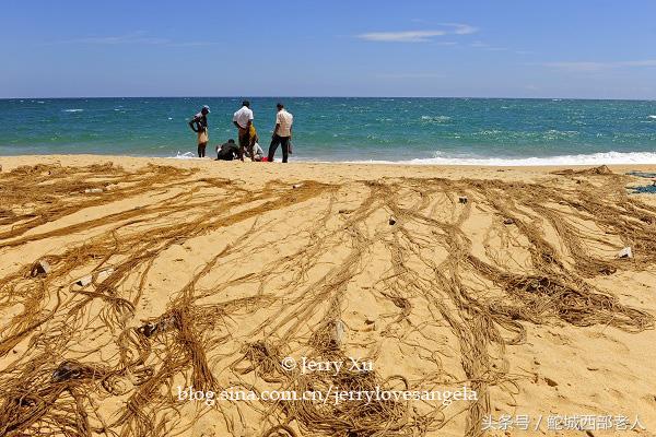 海滩捕鱼的几种方法,海边捕鱼吃海鲜视频大全