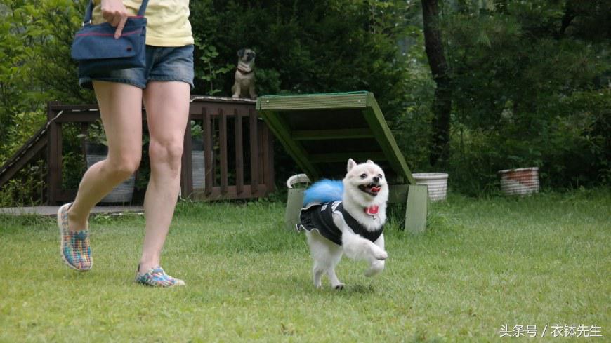 揭秘，灰色网络挣钱发展史，暴利分类信息是如何赚钱的，衣钵先生