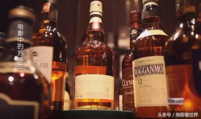 品味生命之美歌曲,生命之水感悟