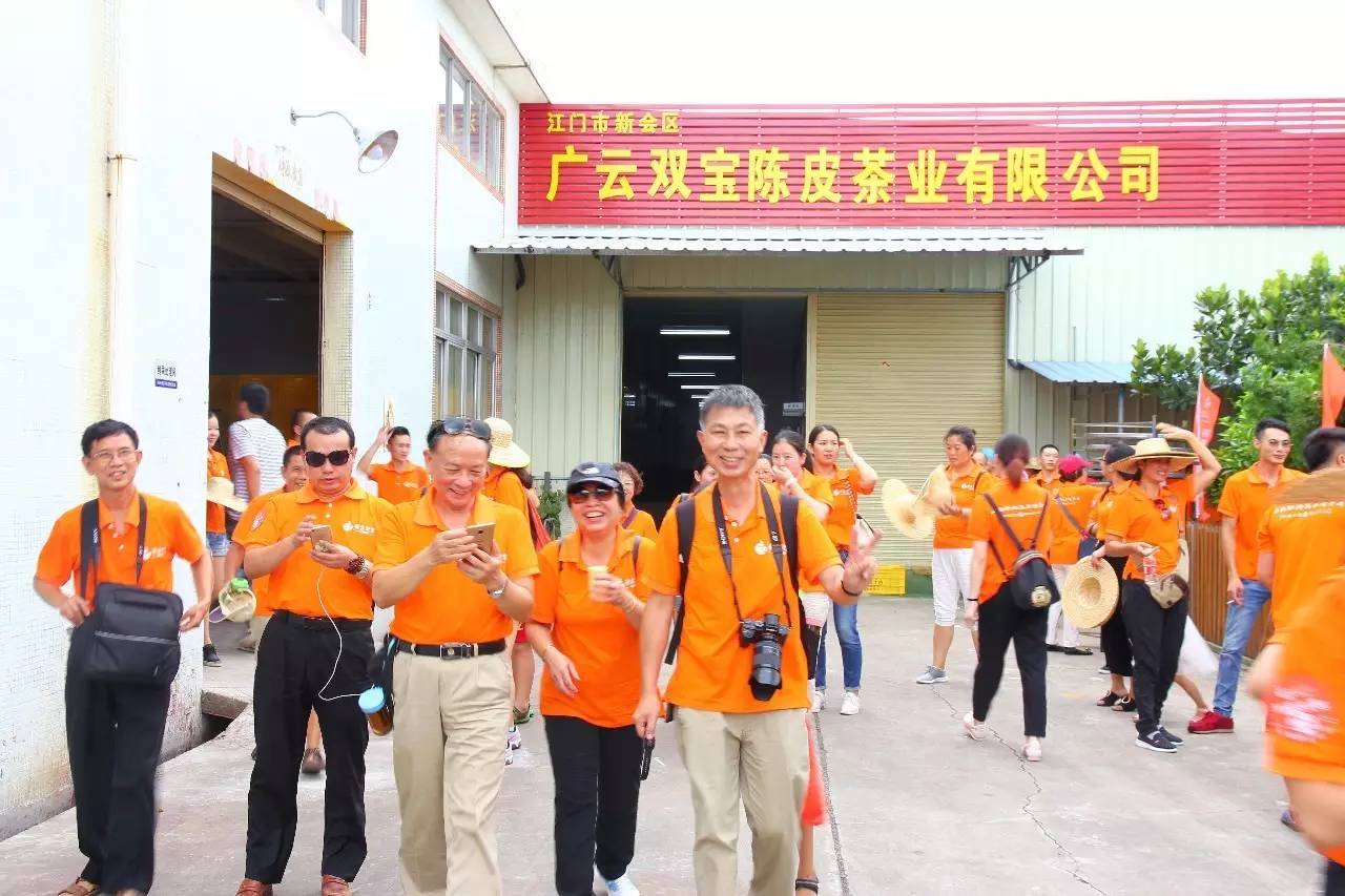 新会陈皮邀请赛,新会柑比赛