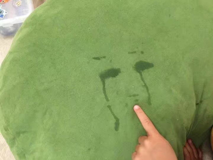 让二哈听话,让二哈自己在家待一天