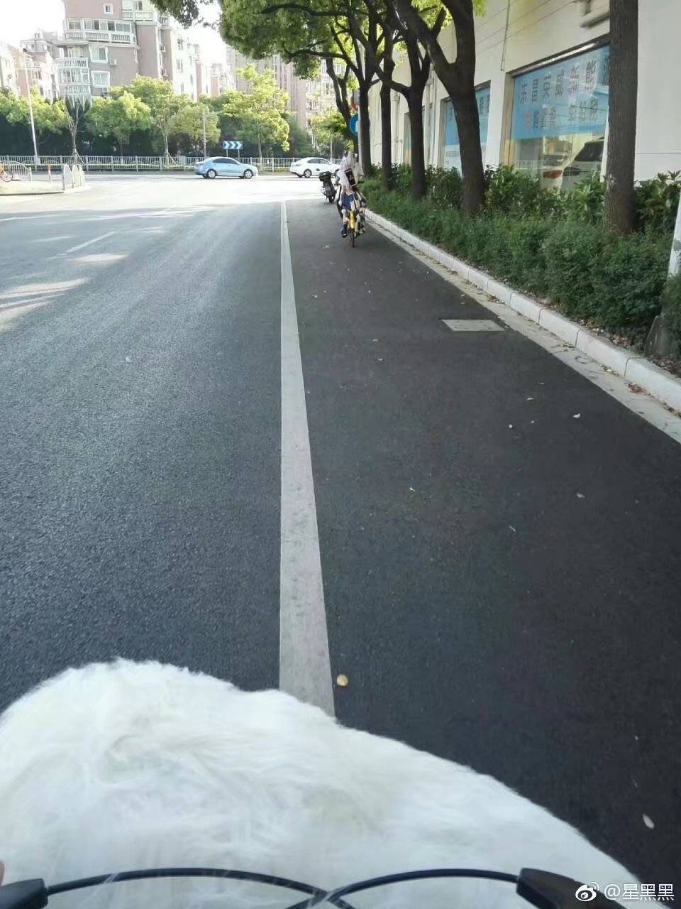 让二哈听话,让二哈自己在家待一天