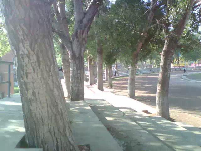 吉林建筑大学以前多厉害,吉林建筑大学60周年