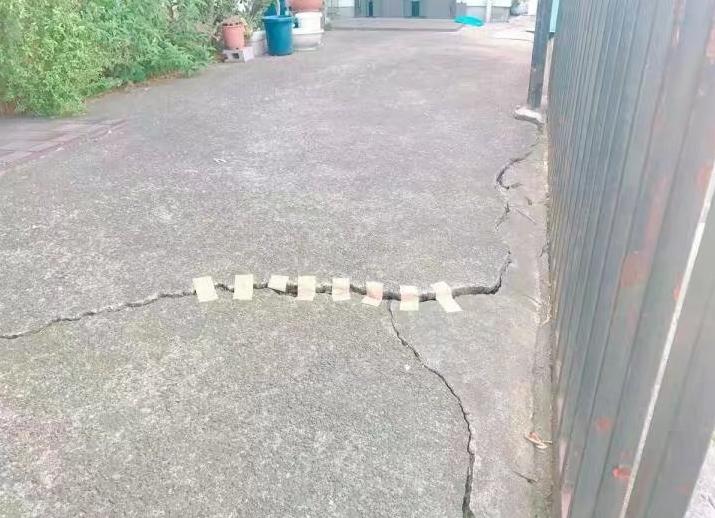 让二哈听话,让二哈自己在家待一天