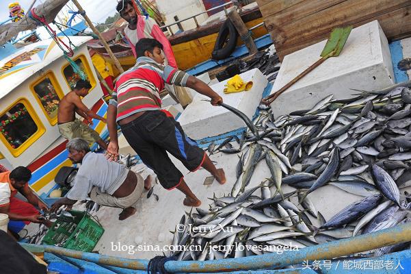 海滩捕鱼的几种方法,海边捕鱼吃海鲜视频大全