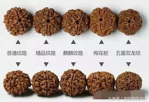 金刚菩提纹路里反碱,六瓣雪花金刚菩提纹路