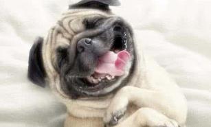 天热来个冷笑话幽默,天热讲个冷笑话