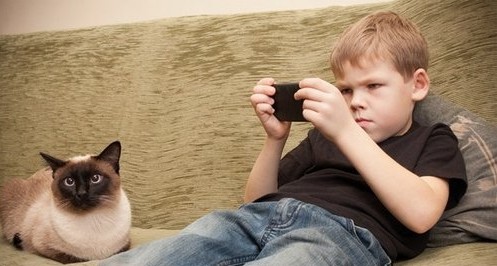 cj怎么通关,cj攻略