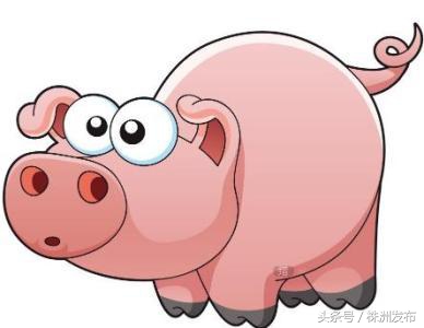 上饶城管回应查扣300多斤猪肉,城管回应查扣猪肉