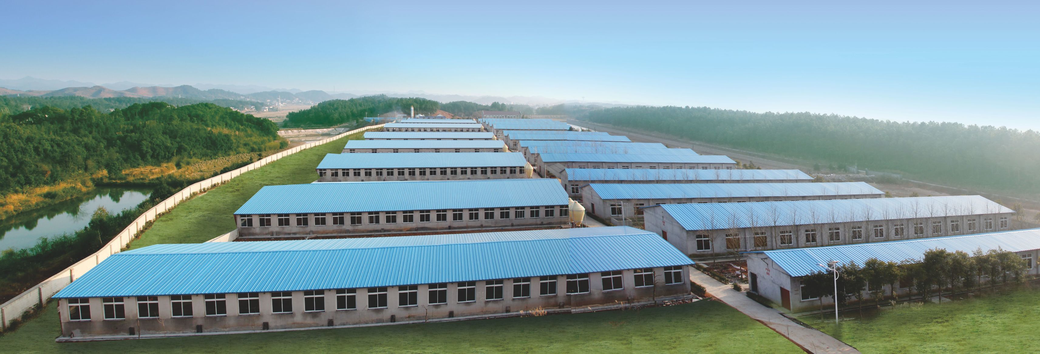 500万头范围布局这三大区域！刘满秋谈湖南鑫广安发展与规划