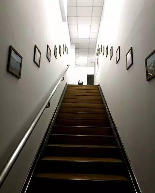 什么？泰达的办公空间都这么美？哪个是你心中最爱！