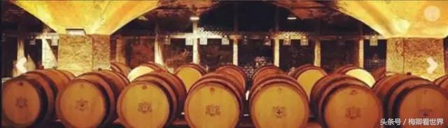 品味生命之美歌曲,生命之水感悟