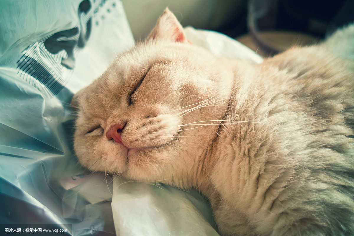 汕头最值得去的酒店是哪个,汕头这两天很火的酒店