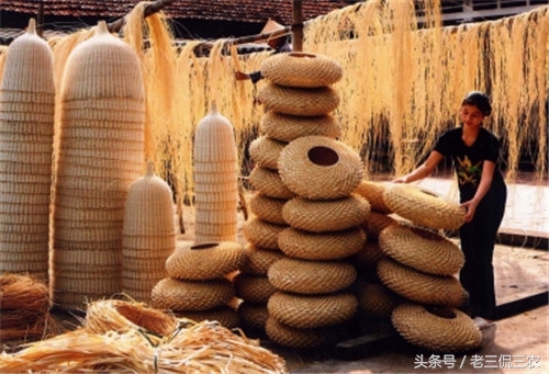 致富的新路子有哪些,有致富的门路推荐一下