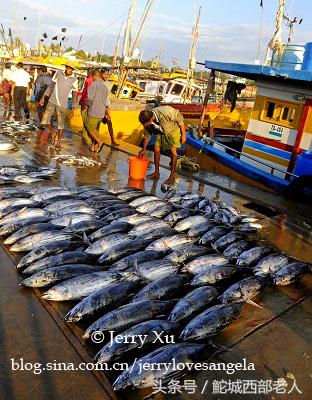 海滩捕鱼的几种方法,海边捕鱼吃海鲜视频大全