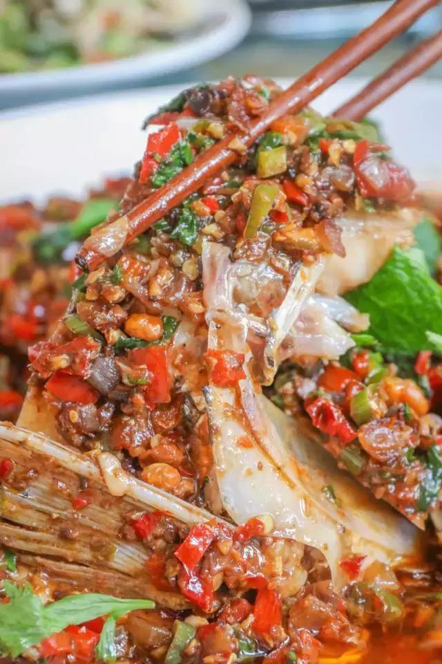 14年了，它在成都找不到对手