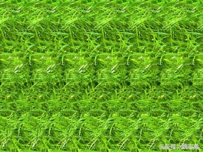 心理减压画画,减压静心的画