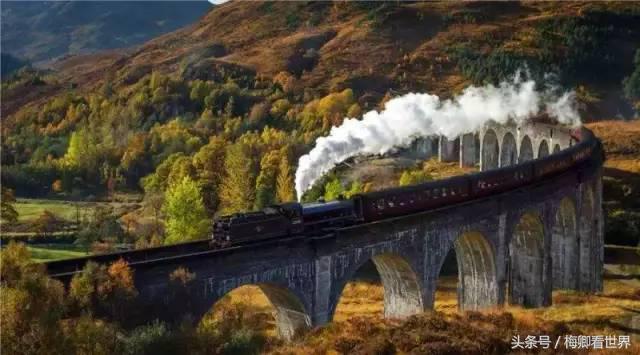 品味生命之美歌曲,生命之水感悟