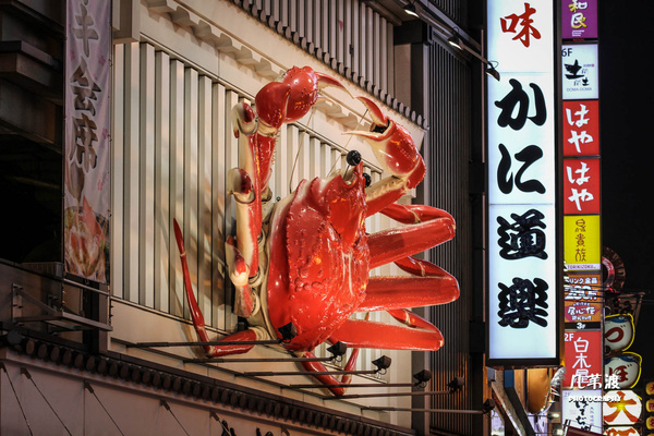 大阪旅游签证办理攻略,日本大阪旅游签证办理流程图解