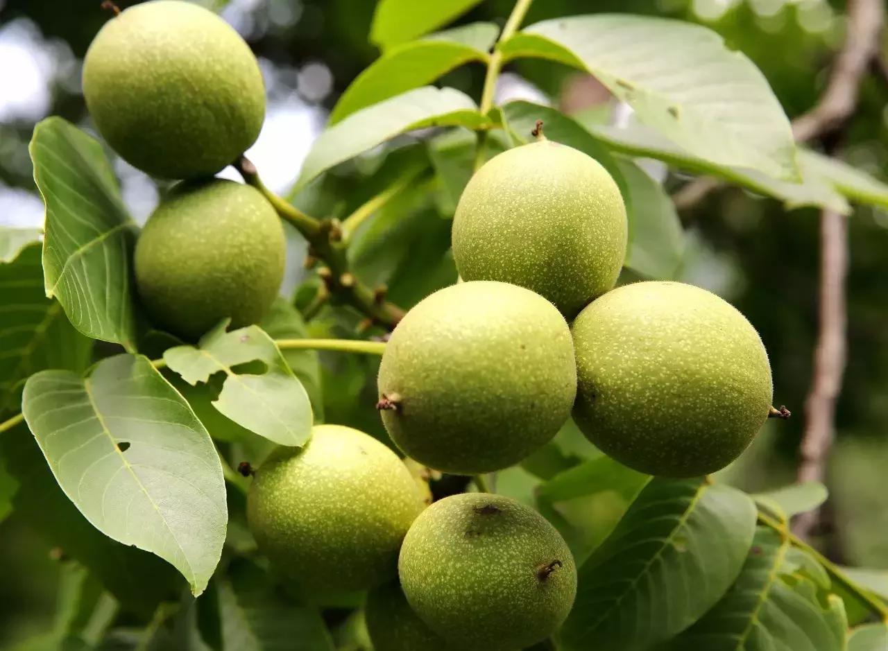 炫炫炫，我们富有的通江，岂能用钱财来衡量