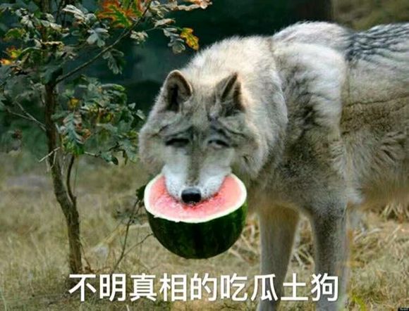 c罗消息,c罗什么时候再来中国