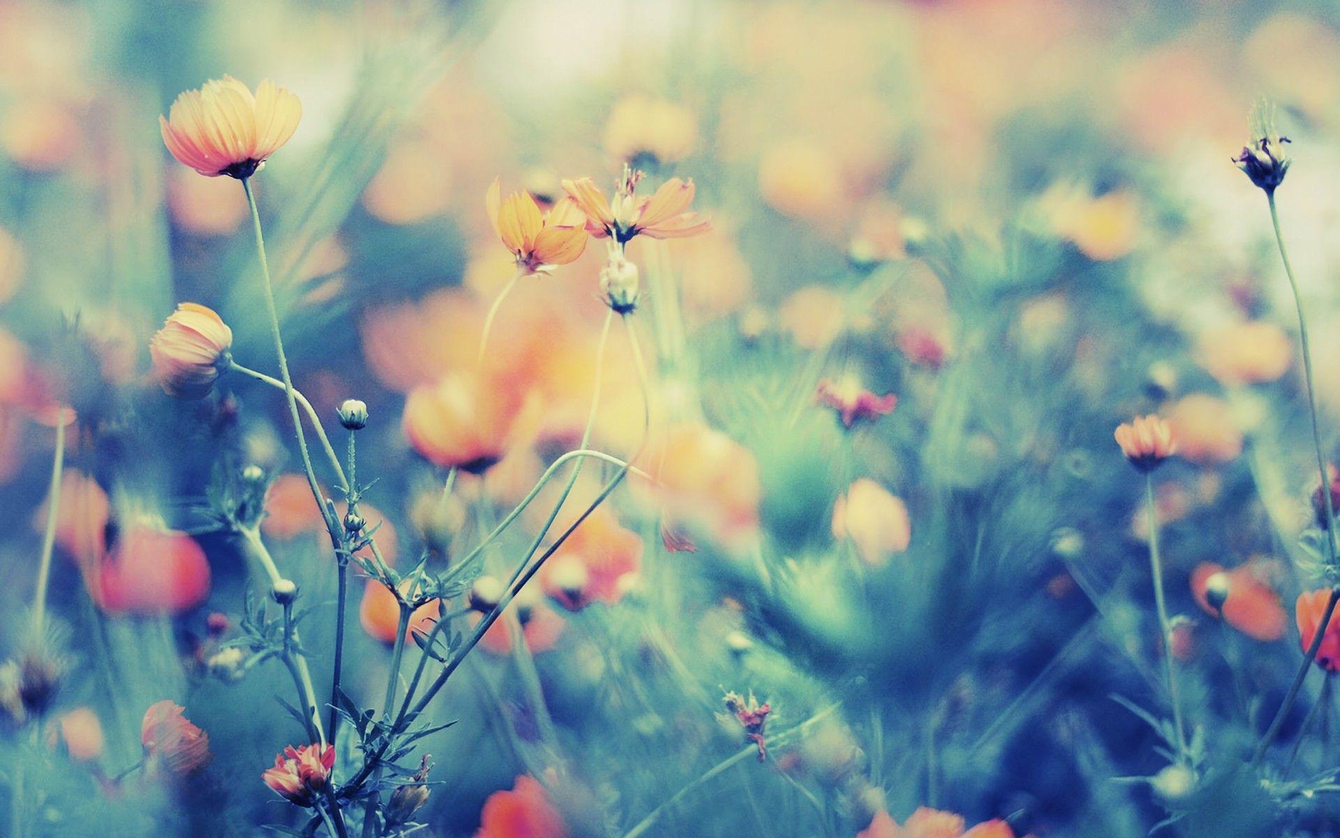 西安模特阿颖最新视频,西安阿颖