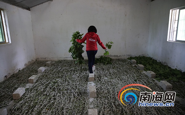 驻村生活vlog,农村驻村扶贫vlog