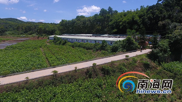 驻村生活vlog,农村驻村扶贫vlog