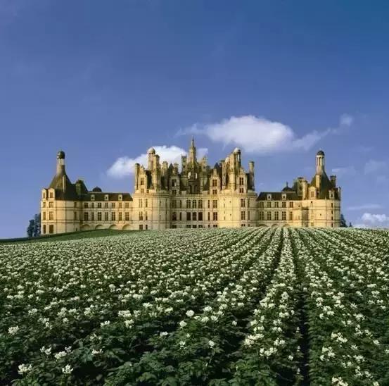 世界上最迷人的小镇,世界上最香的小镇