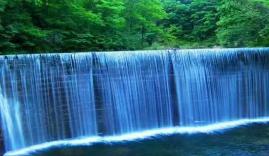 词风雅韵-冯振宇｜千条溪水奔流去万顷荷花娇艳红