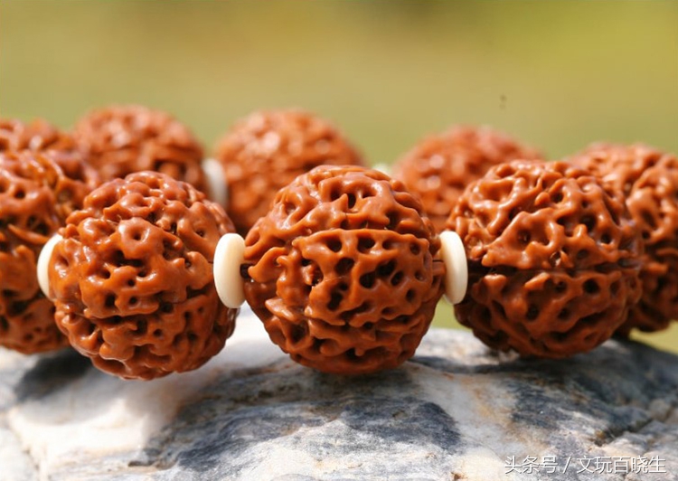 尼泊尔金刚菩提真假辨别,印尼金刚和尼泊尔金刚区别