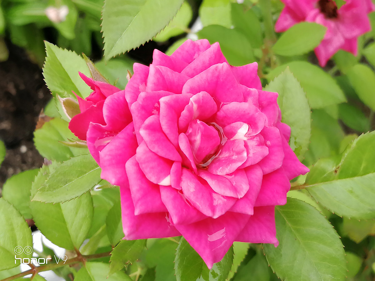 荣耀9或v9值得购买吗,荣耀v9荣耀9哪个好