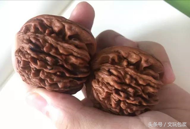 教您几招就能识破假核桃,核桃作假新玩法