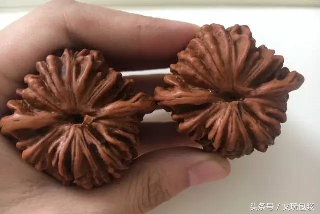 教您几招就能识破假核桃,核桃作假新玩法