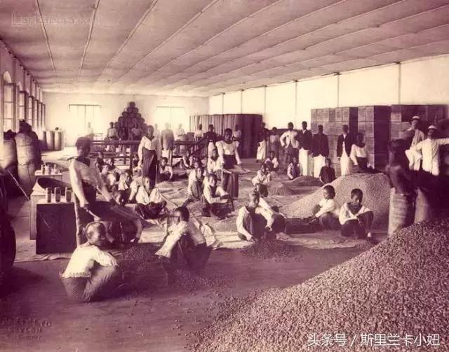 王健林海外投资靠谱吗,王健林投资瑞士新西兰