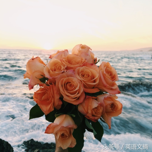 远方的你是我今生的挚爱,你是我唯一的挚爱