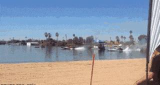 八哥洗澡搞笑幽默段子,关于八哥的笑话