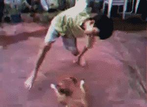 八哥洗澡搞笑幽默段子,关于八哥的笑话