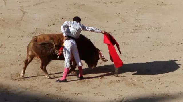 小语种专业前景好吗,现在可学习的小语种有哪些