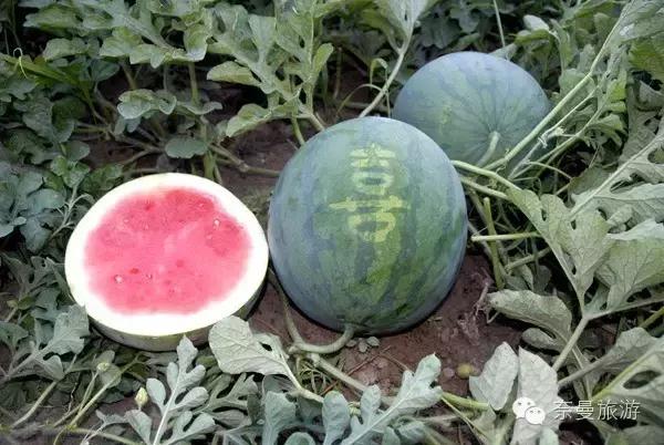 蒙辽冀交界处,蒙冀辽交界处