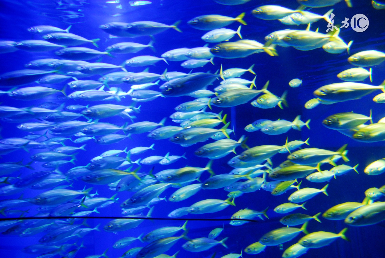 初二英语必背十篇范文,初中英语用这本笔记就够了