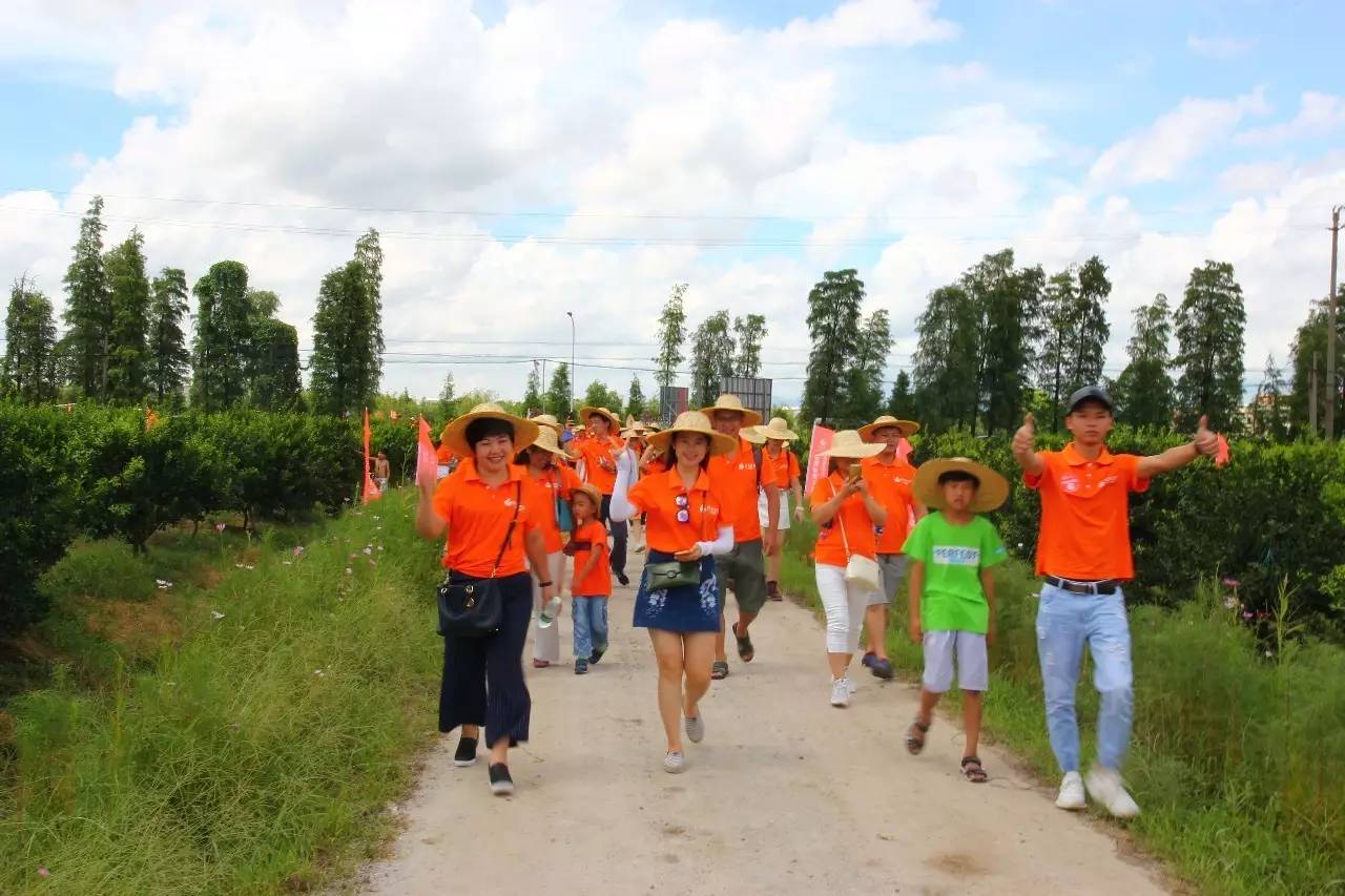 新会陈皮邀请赛,新会柑比赛