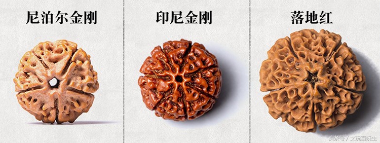 尼泊尔金刚菩提真假辨别,印尼金刚和尼泊尔金刚区别