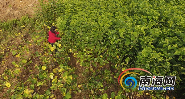 驻村生活vlog,农村驻村扶贫vlog