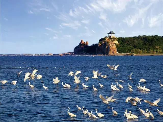 京津冀，听说你们缺一份避暑攻略？驿雲小编已给你们备好！