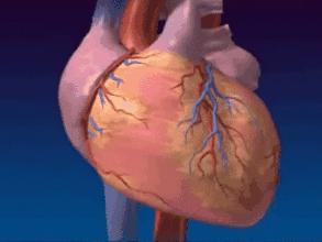 中暑为什么能死亡,中暑怎样引起的