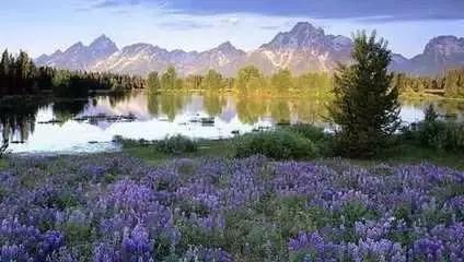 世界上最迷人的小镇,世界上最香的小镇