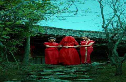 词风雅韵-冯振宇｜千条溪水奔流去万顷荷花娇艳红